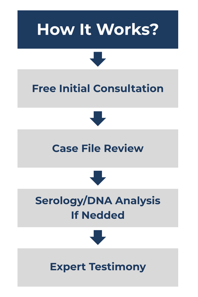 Case File Review, Forensics Canada Inc.