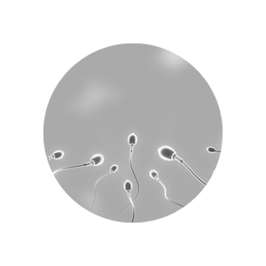 Semen, Alternative Sample, Forensics Canada Inc.