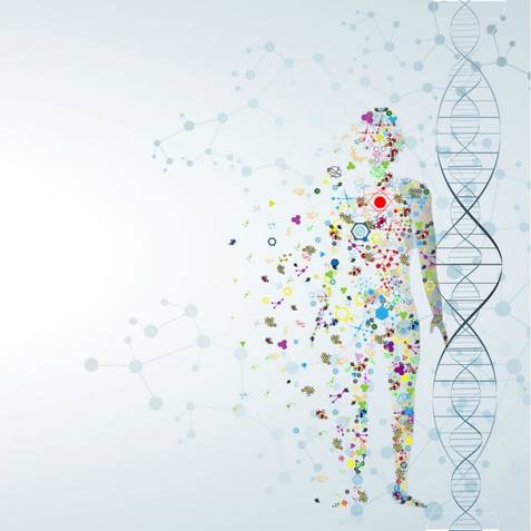 DNA Testing Canada, DNA Tests, Forensics Canada Inc.