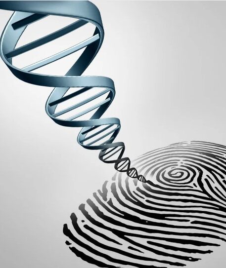 services-forensics-canada-inc-toronto Services Forensics Canada Inc Toronto